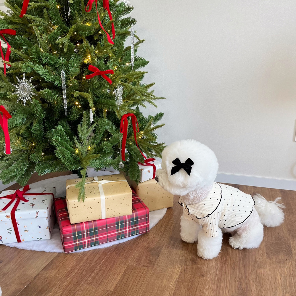 모자 상품 이미지-S22L9