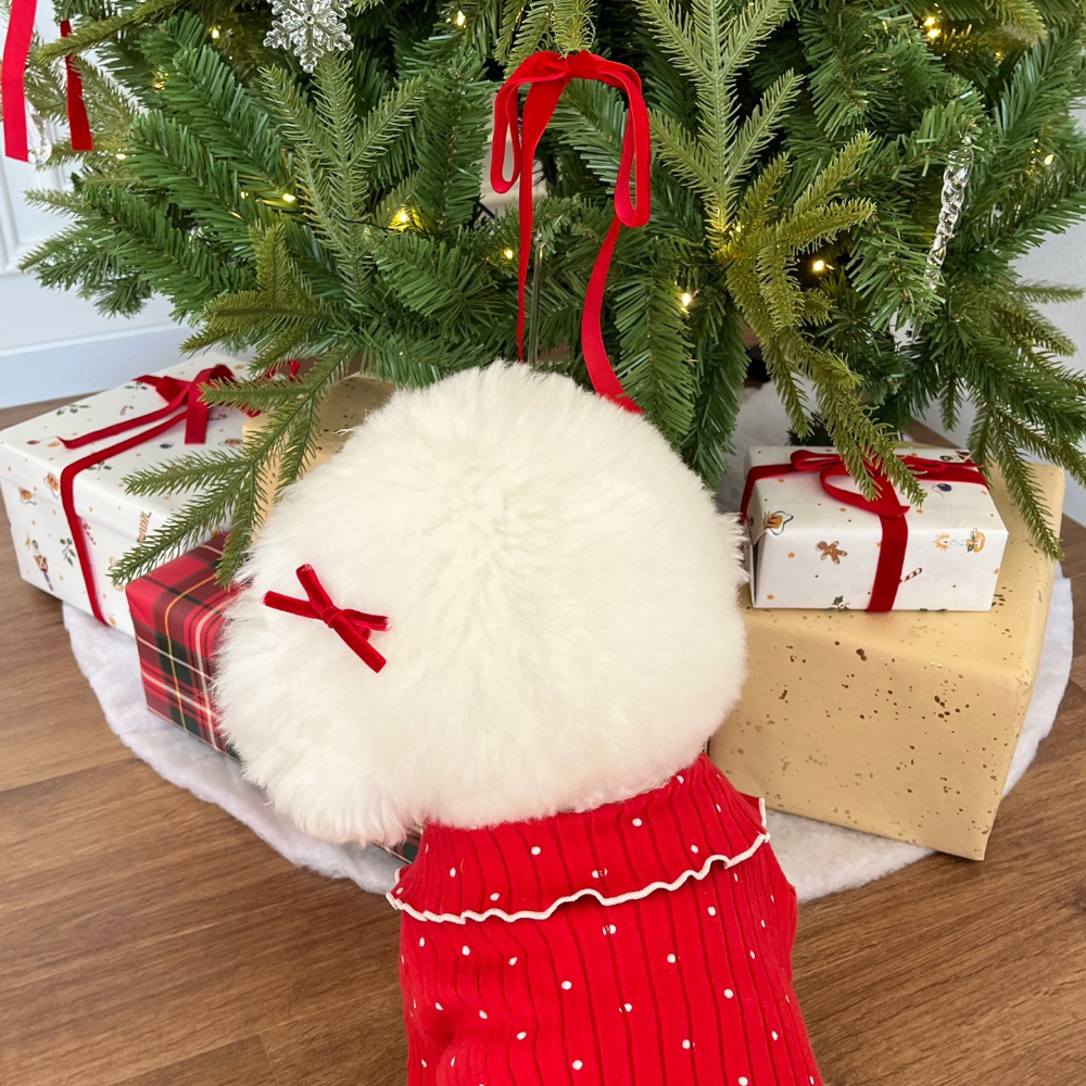 화장품 상품 이미지-S22L17