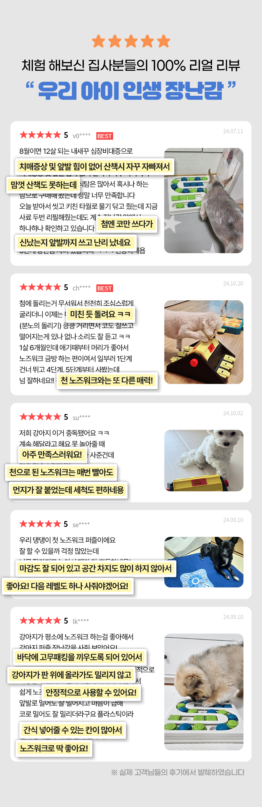 강아지 퍼즐 노즈워크 레벨3 블루스퀘어