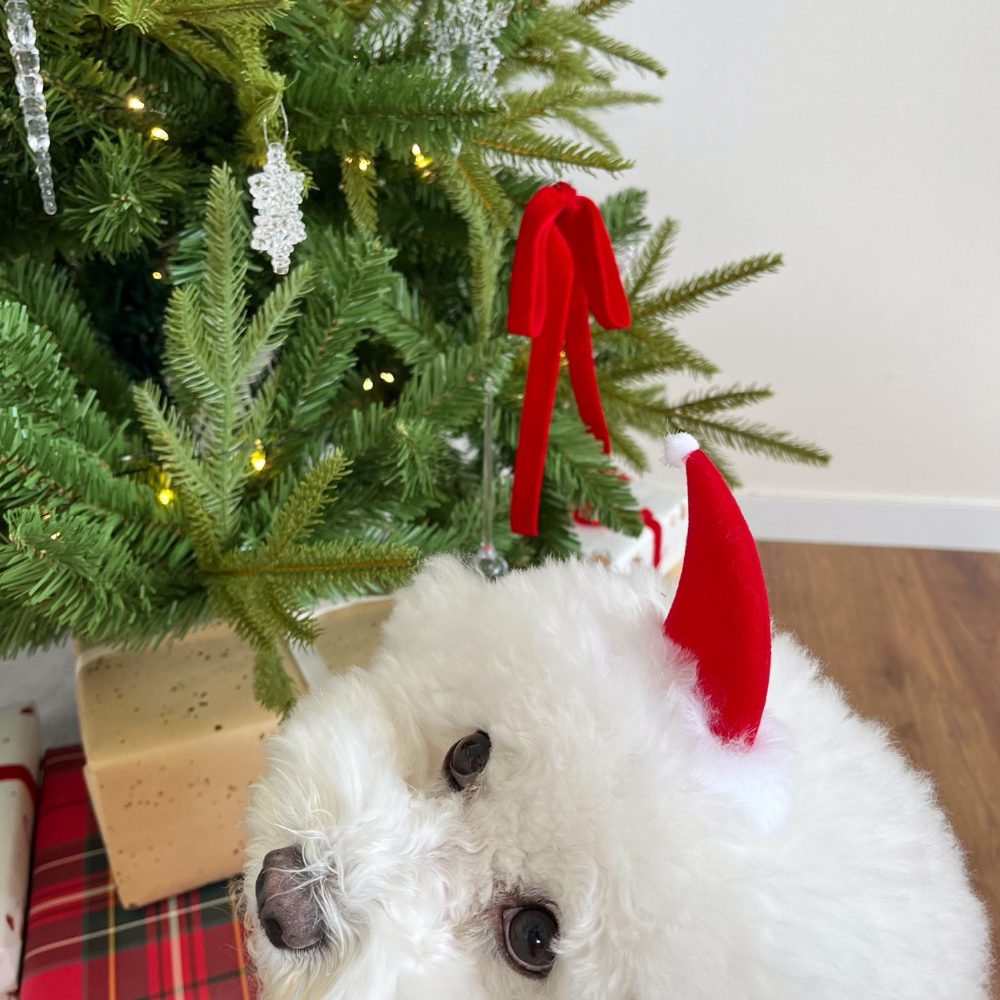 모자 올리브 색상 이미지-S22L32