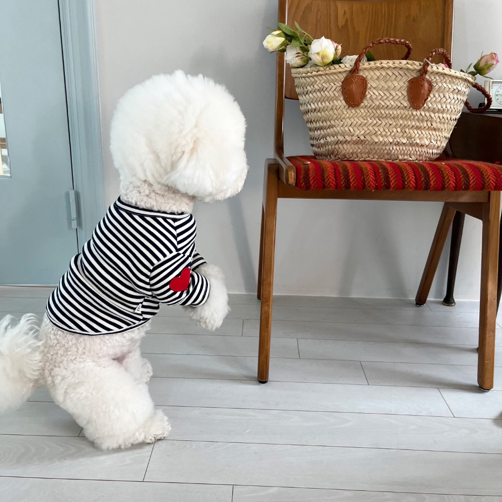 모자 상품 이미지-S37L28