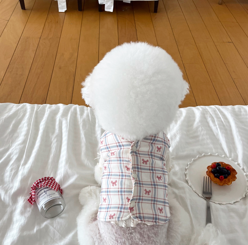 모자 상품 이미지-S1L41