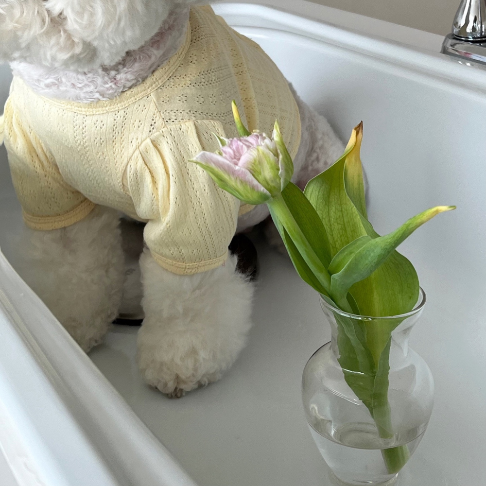 악세사리 모델 착용 이미지-S38L18