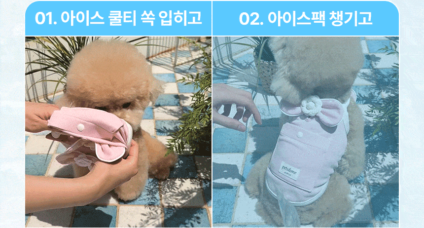 [쿨링] 강아지 아이스팩 러블리 쿨조끼