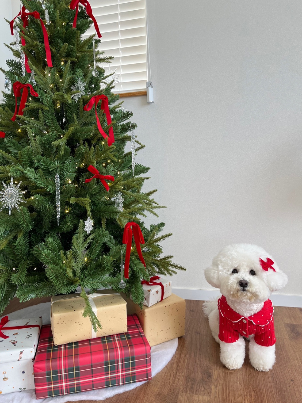 모자 모델 착용 이미지-S22L19