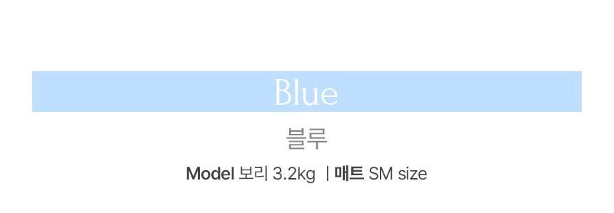 뜨왈 산책 매트 강아지 피크닉 패드