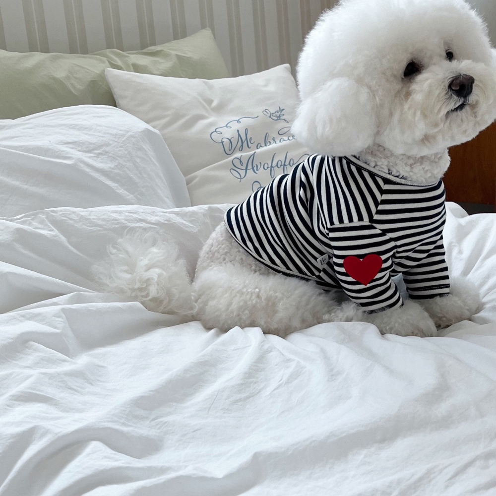 모자 상품 이미지-S37L24