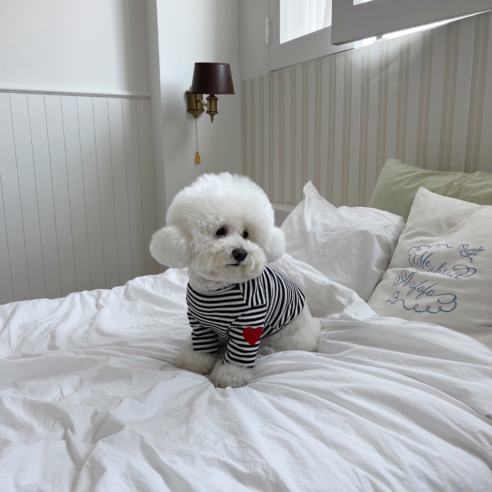 모자 상품 이미지-S37L19