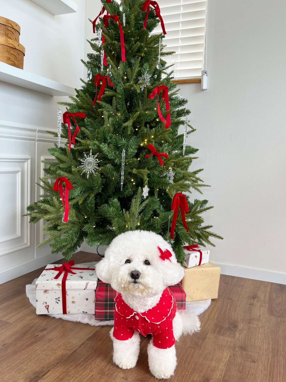 모자 상품 이미지-S22L20