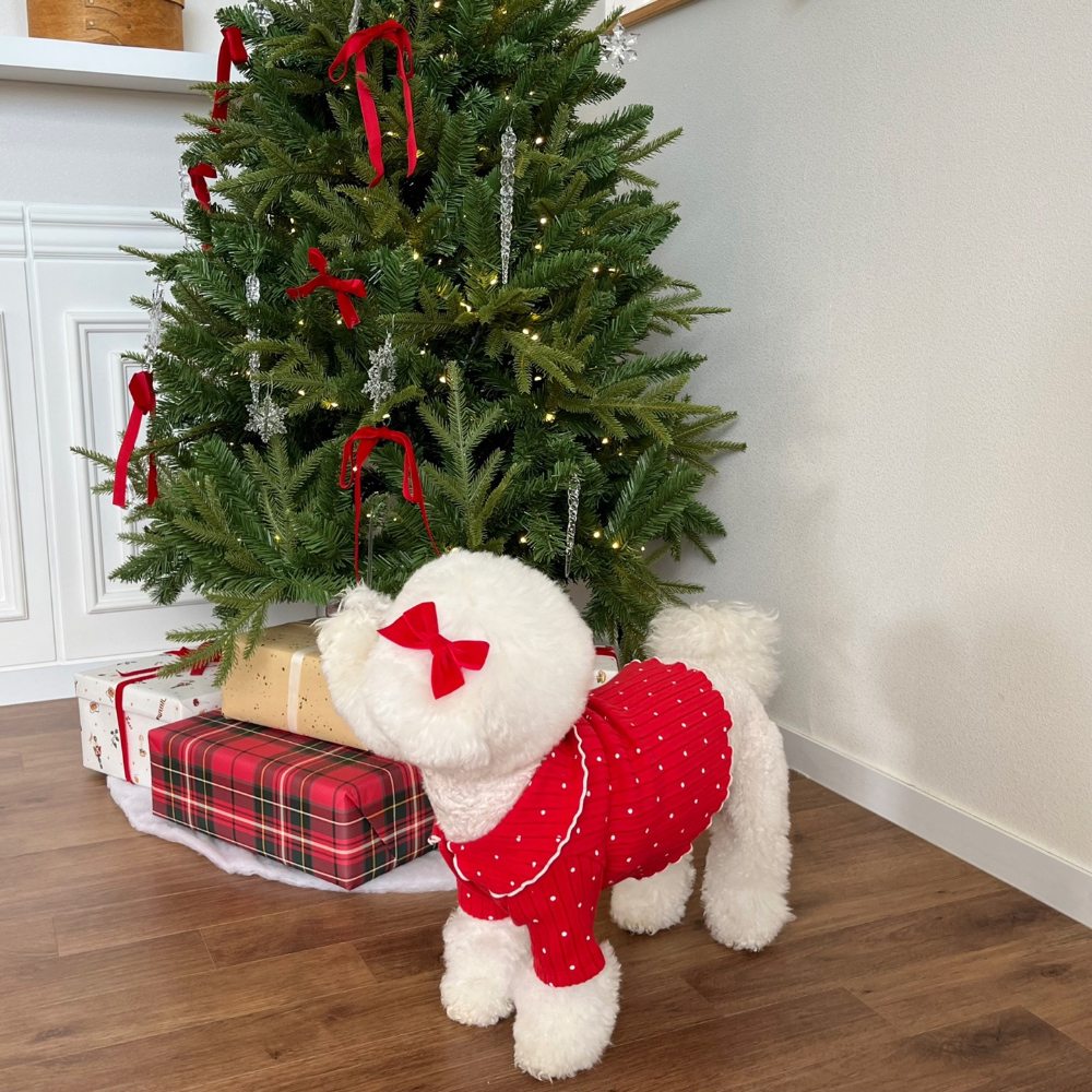 모자 모델 착용 이미지-S22L14