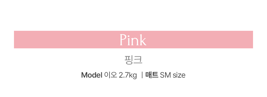 뜨왈 산책 매트 강아지 피크닉 패드