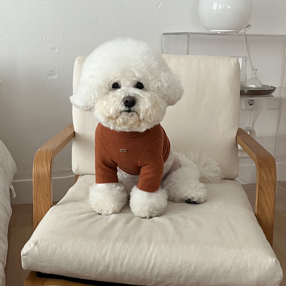 모자 모델 착용 이미지-S27L13