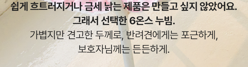 뜨왈 산책 매트 강아지 피크닉 패드