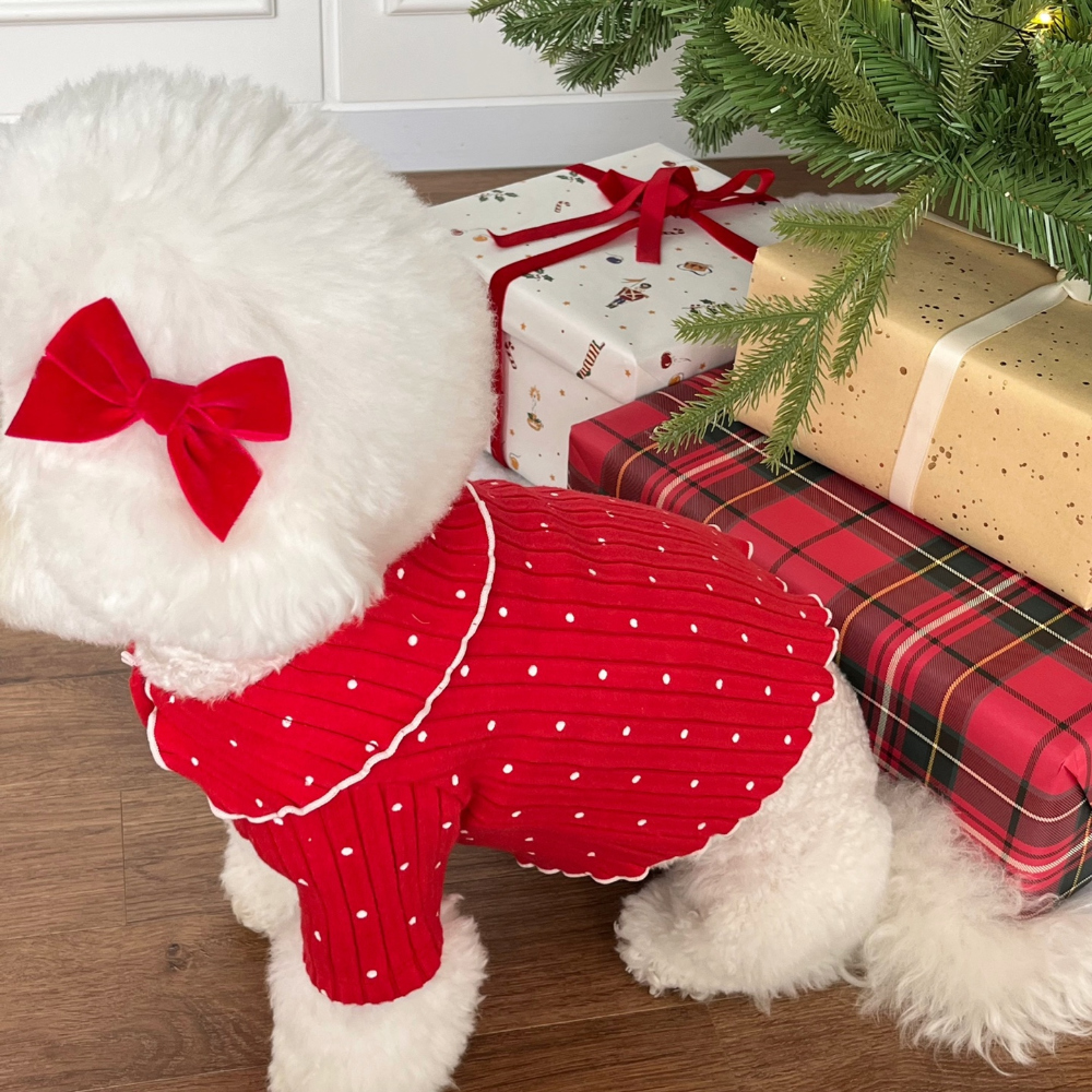 모자 상품 이미지-S22L21