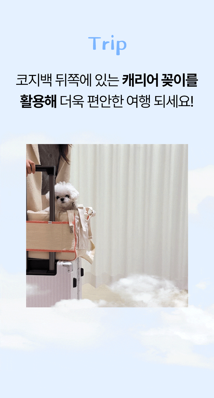 펫미 코지펫백 강아지 수평조절 슬링백