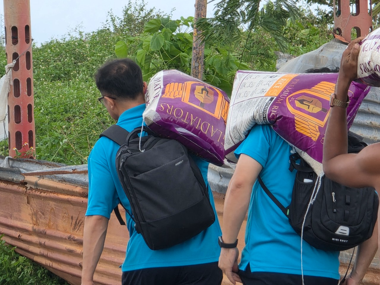 사용자가 올린 이미지