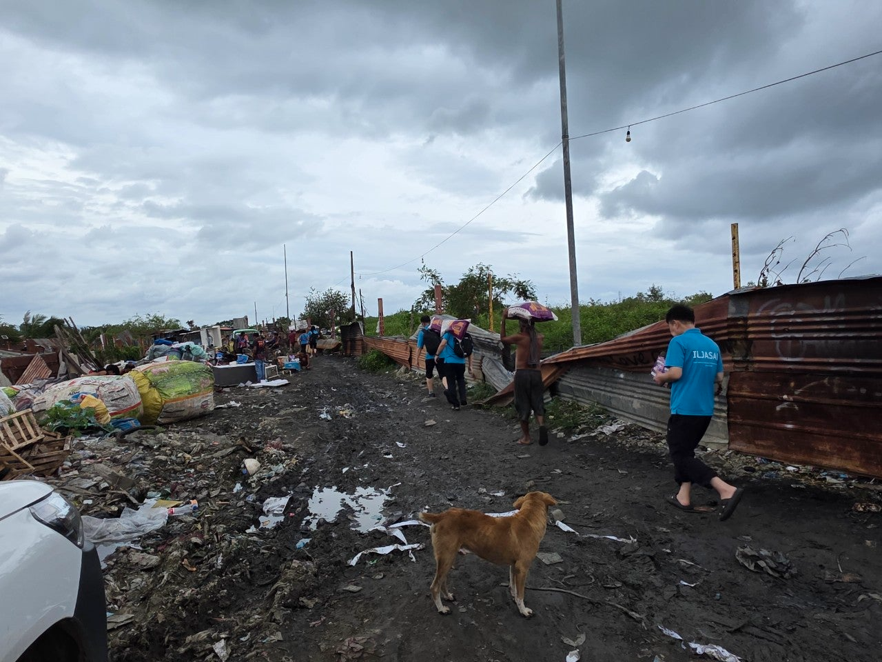 사용자가 올린 이미지