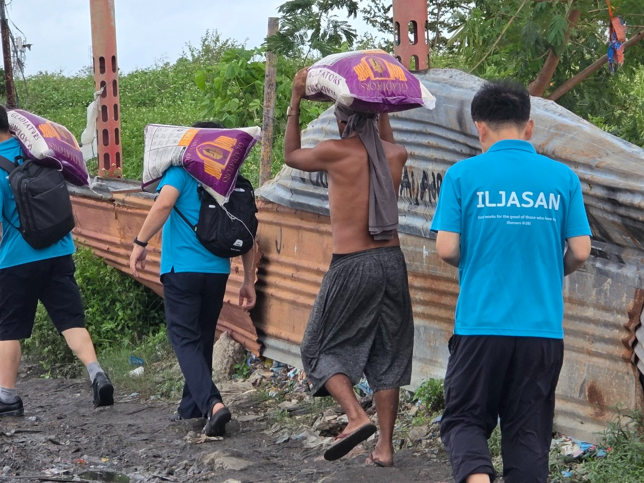 사용자가 올린 이미지