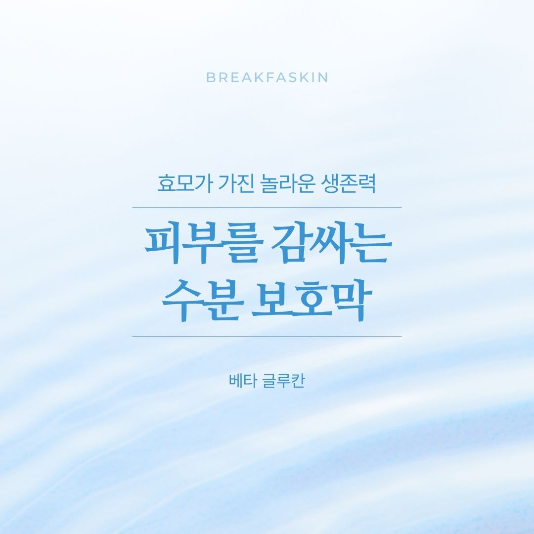 8c2a7bae5a748.jpg