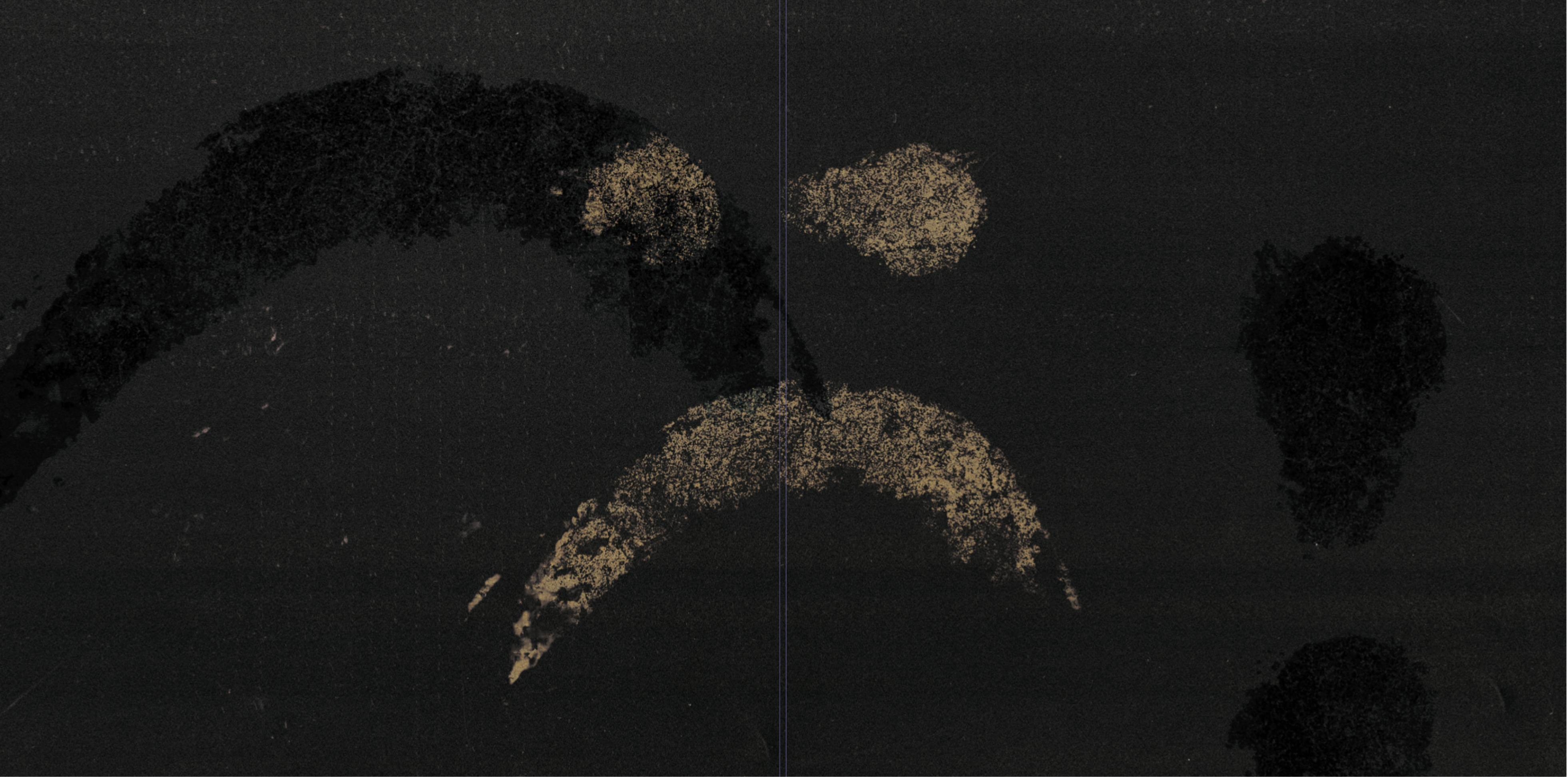 GALLANT OLOGY SMOKEY MARBLE VINYL : Secondtrack Global