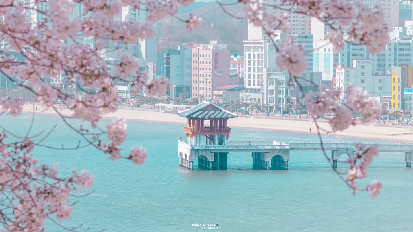 f034fd48ab2a7.jpg