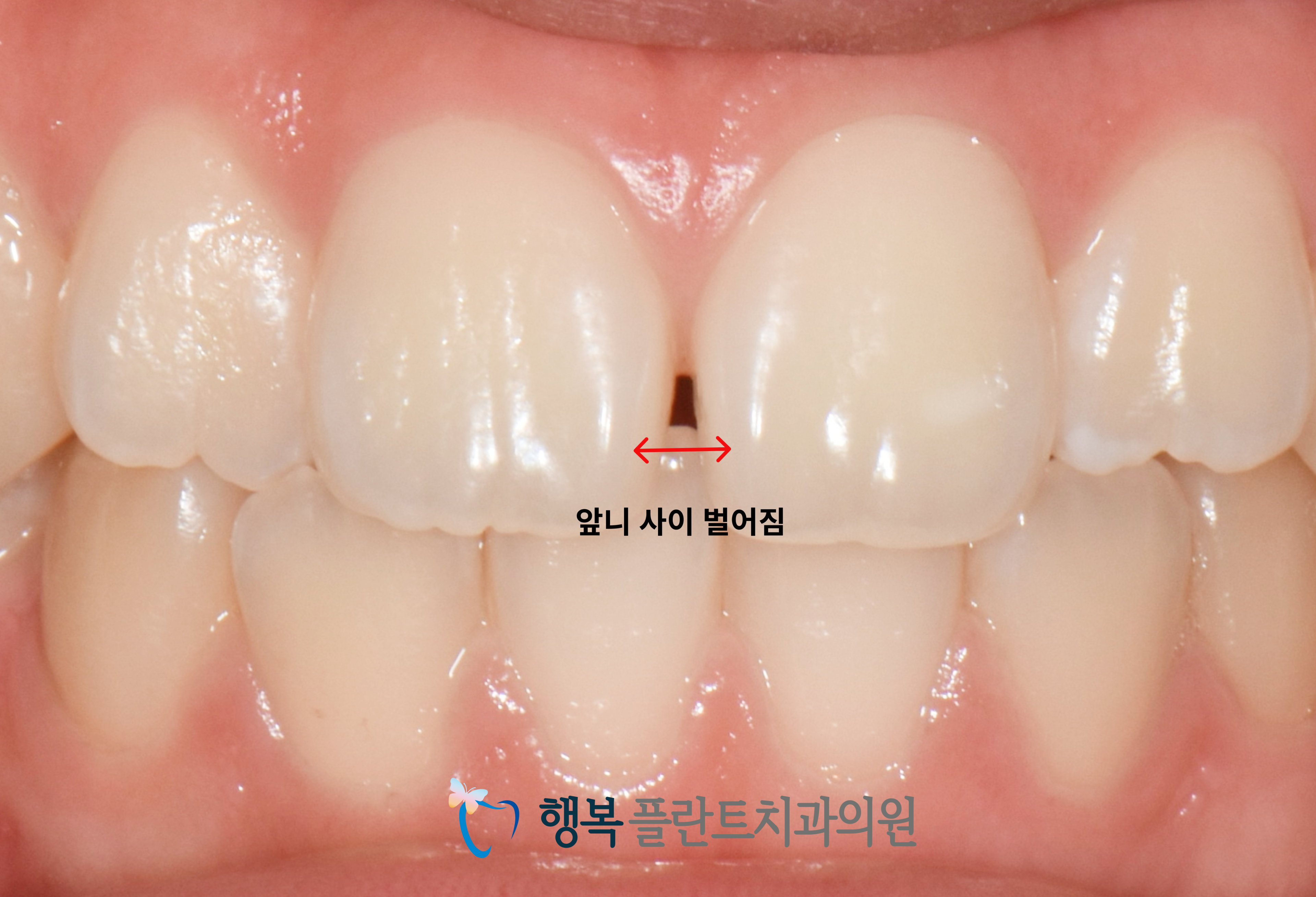 c54856ef337cc.png