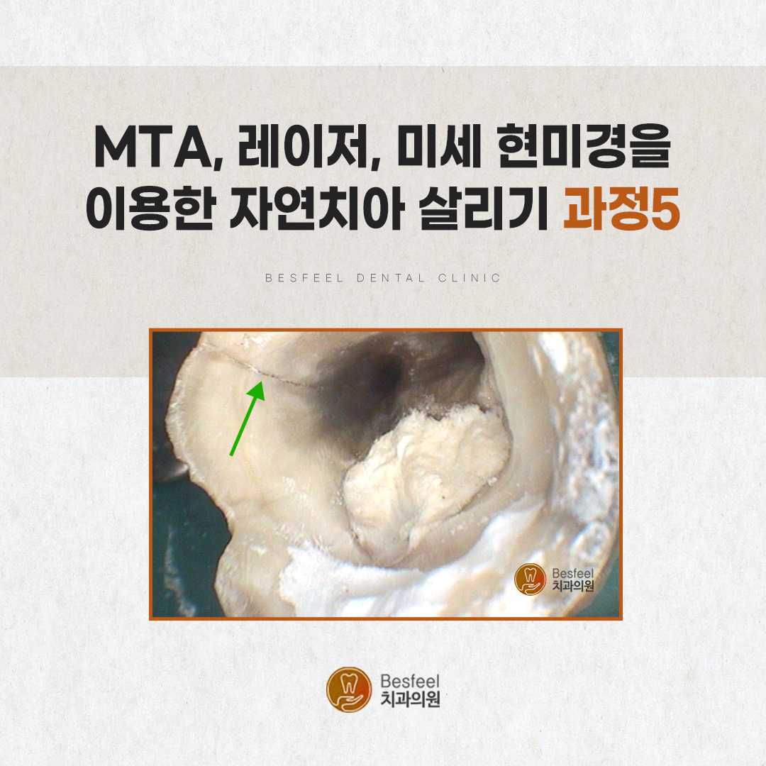 50da363425644.jpg