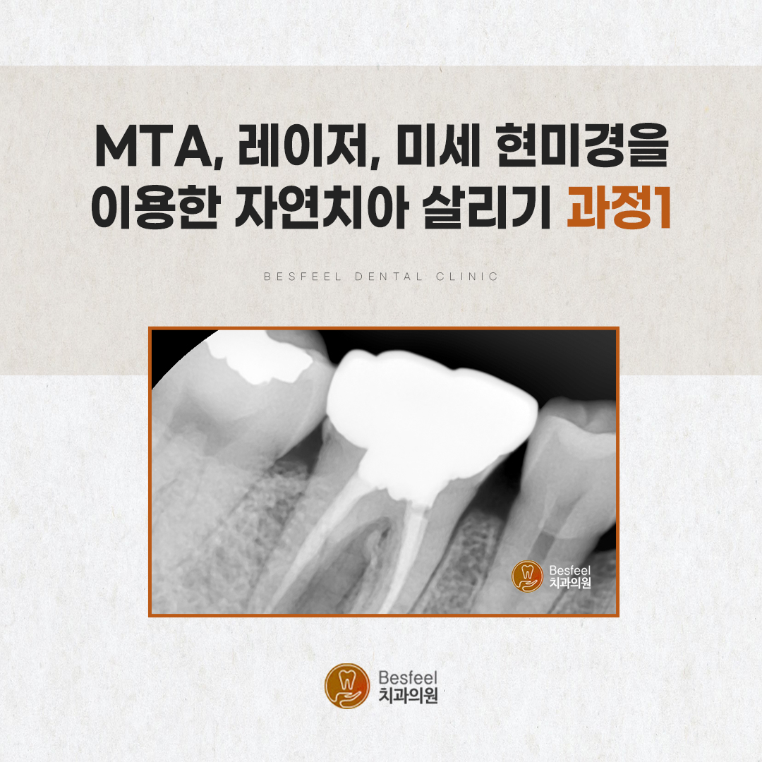 838c22a0616b8.jpg