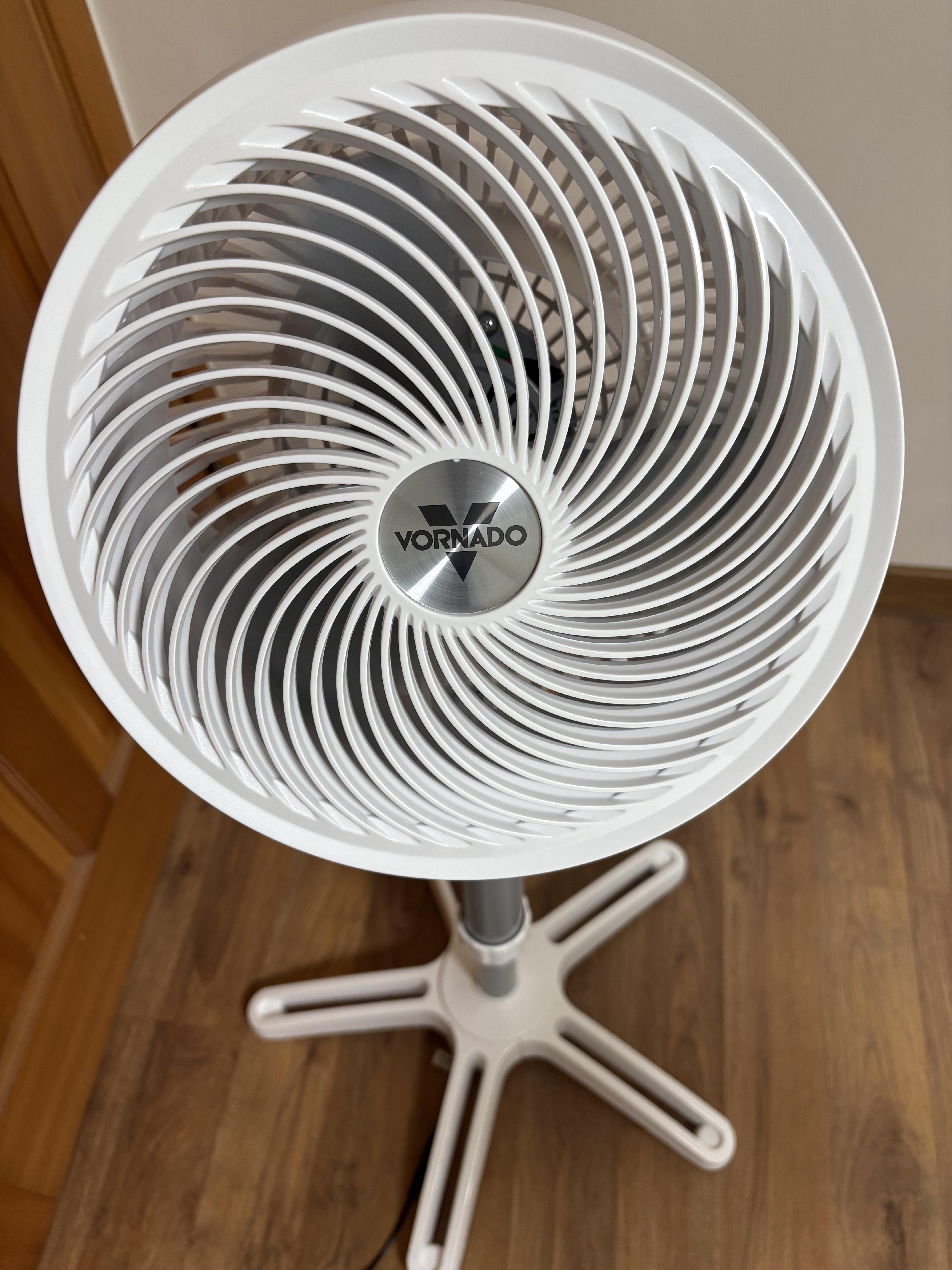 187d969f4d355.jpeg