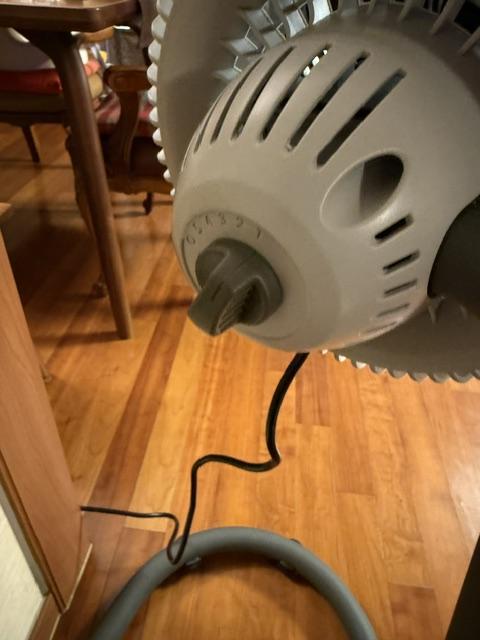 d6729c0c13c24.jpeg