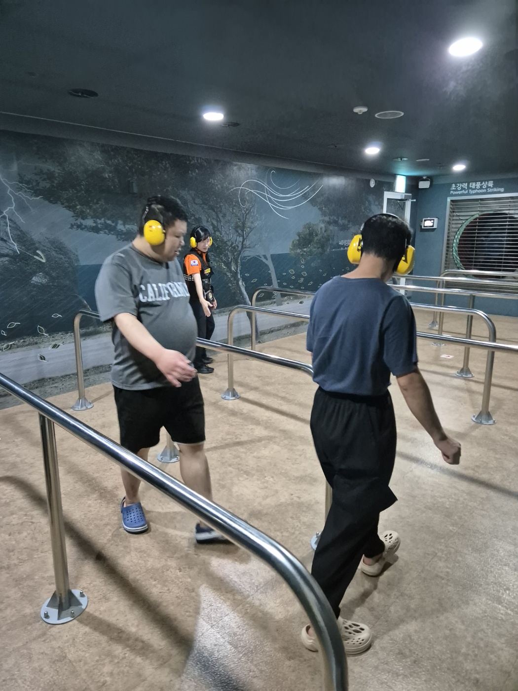 7b9aa60a50d73.jpg