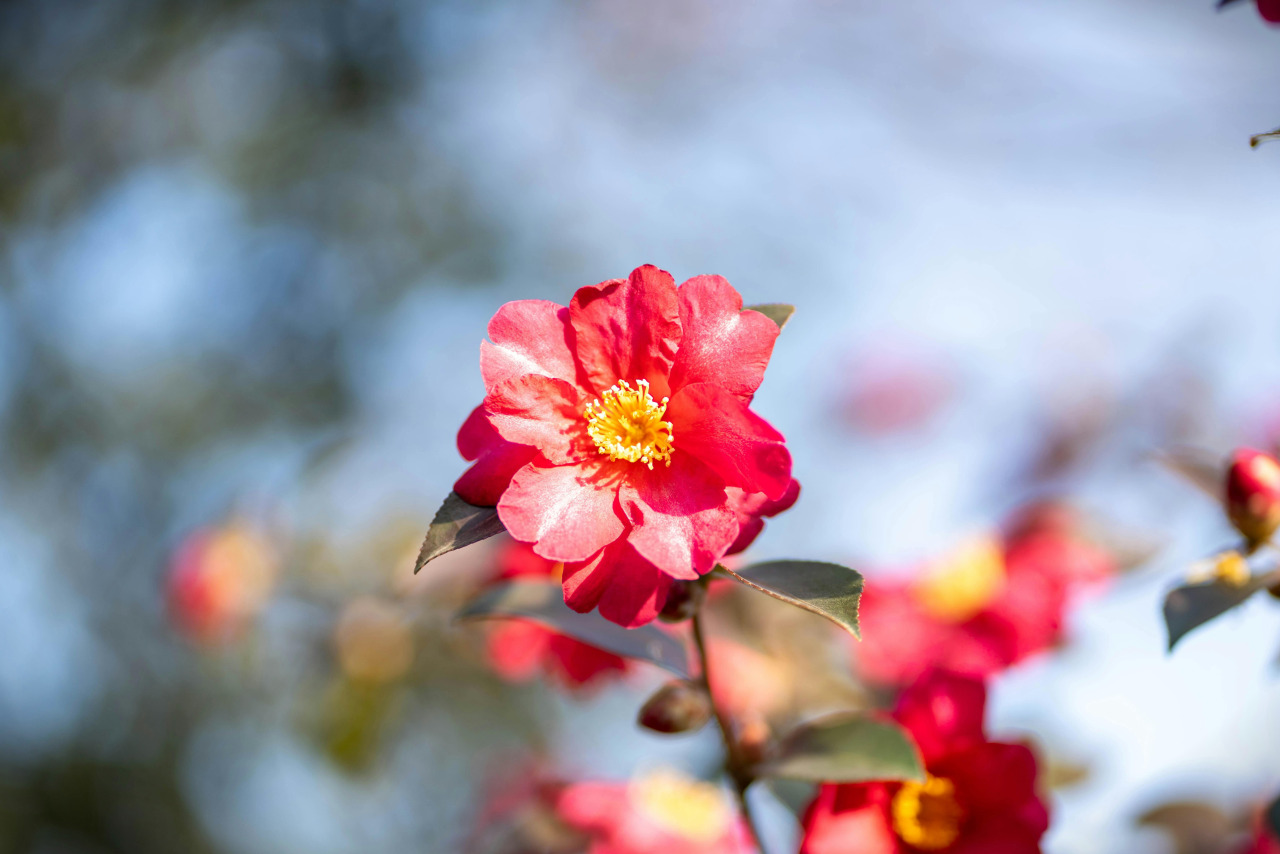 ae16bc66820e2.jpg