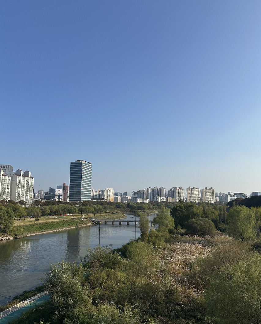 f2bba0905834c.jpg
