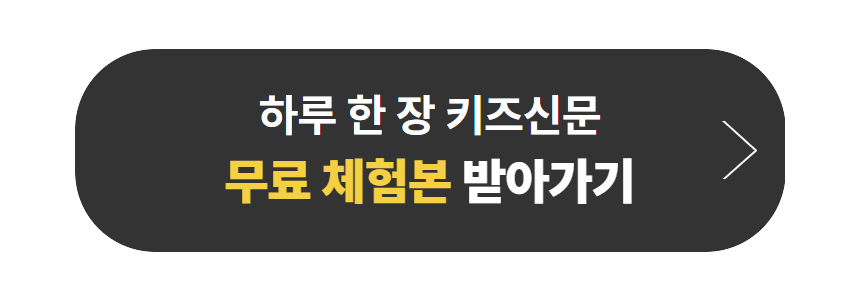 PDF 에디션 / 12개월 구독