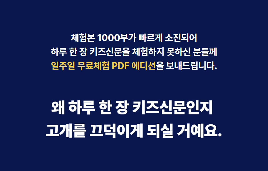 PDF 에디션 / 12개월 구독