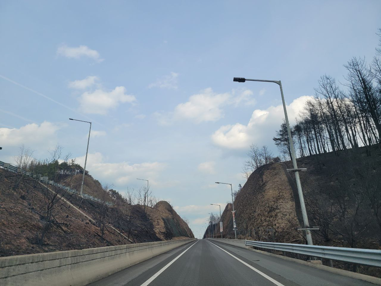 1a9d1a2783aa5.png