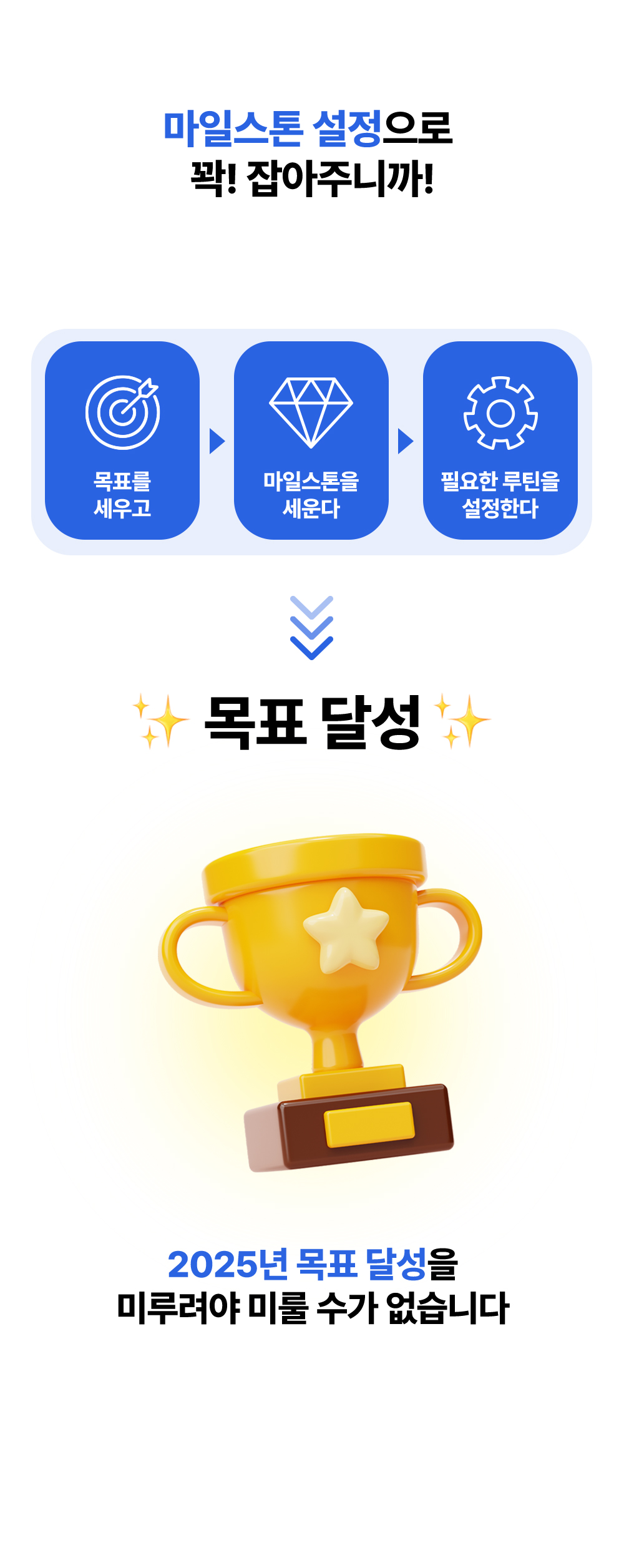 갓생 노션 OS