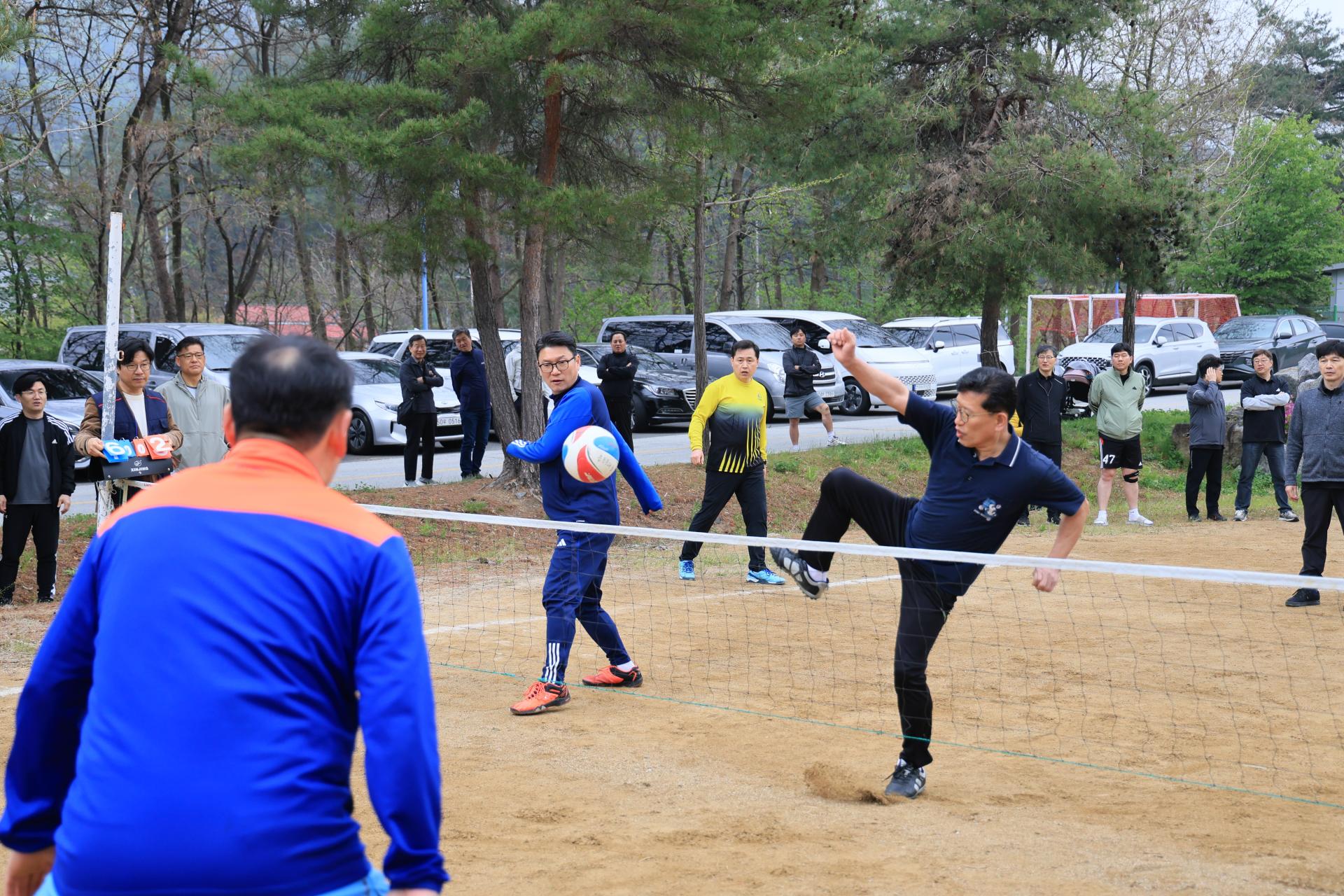 d2e04599c8ed8.jpg