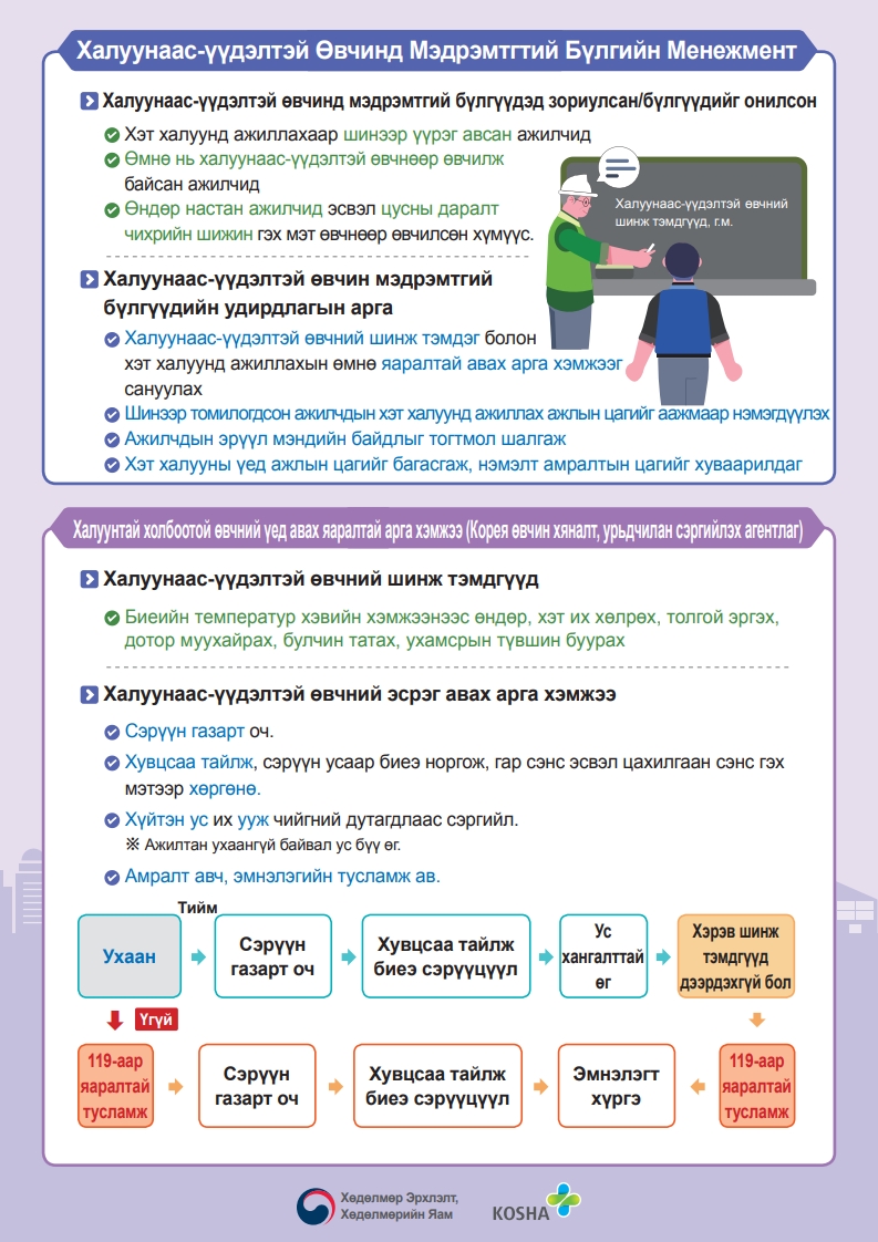 7934d3cd6be93.jpg