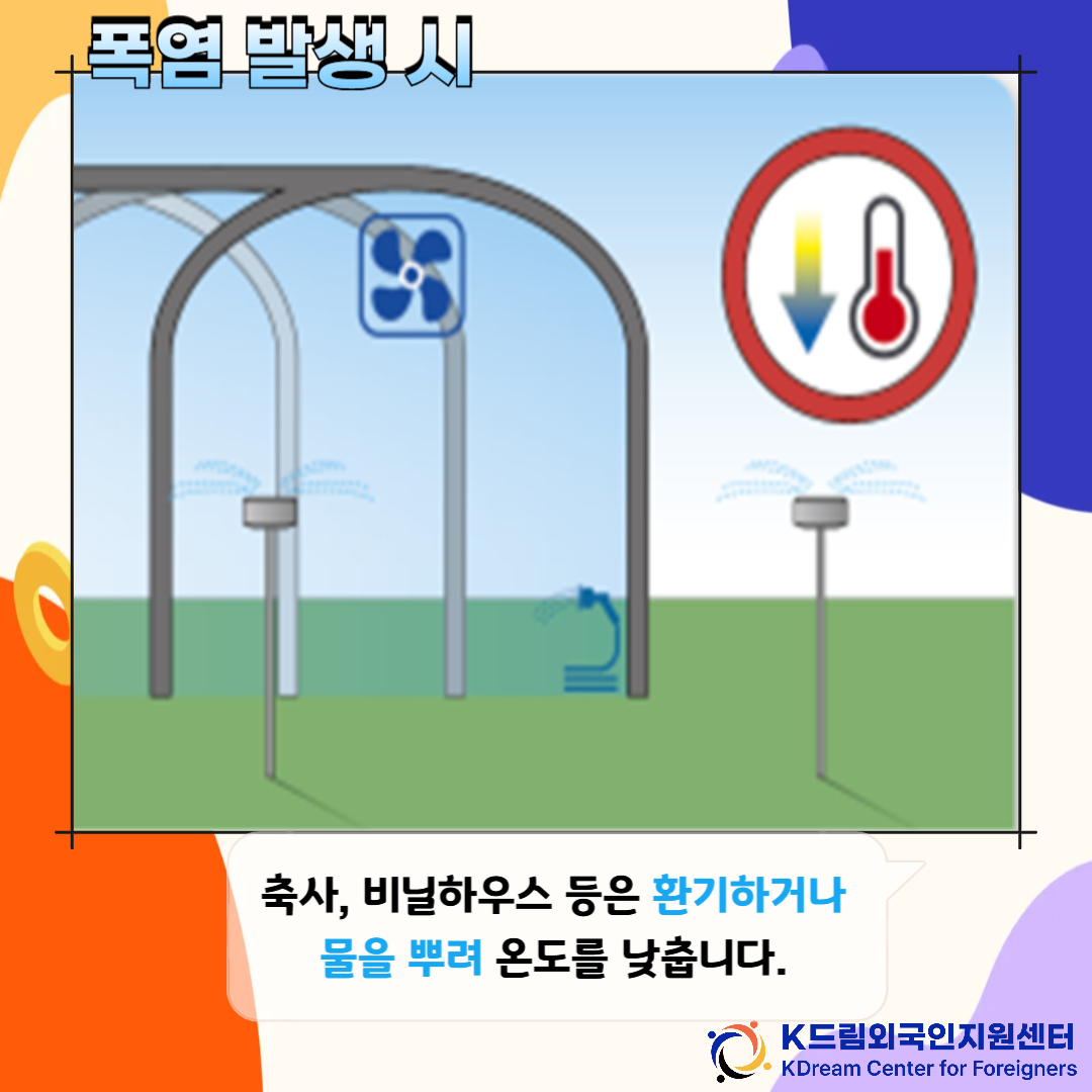 ab694c70e386b.png