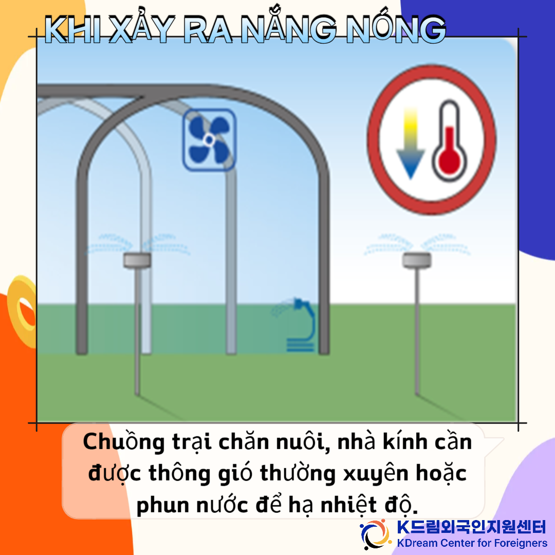 e338b120f0e5c.png