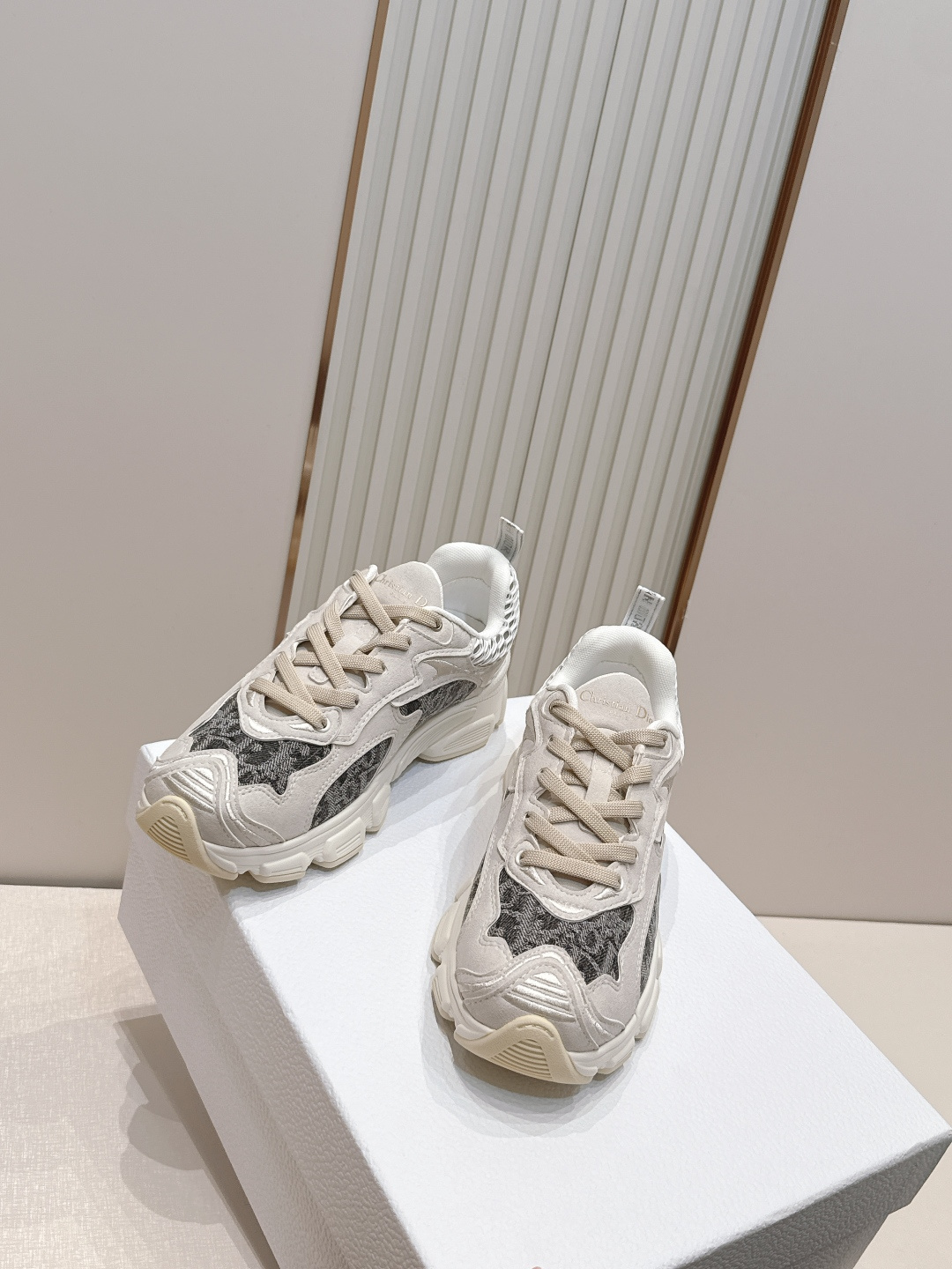 디올(DIOR) 크로노 스니커즈 신발