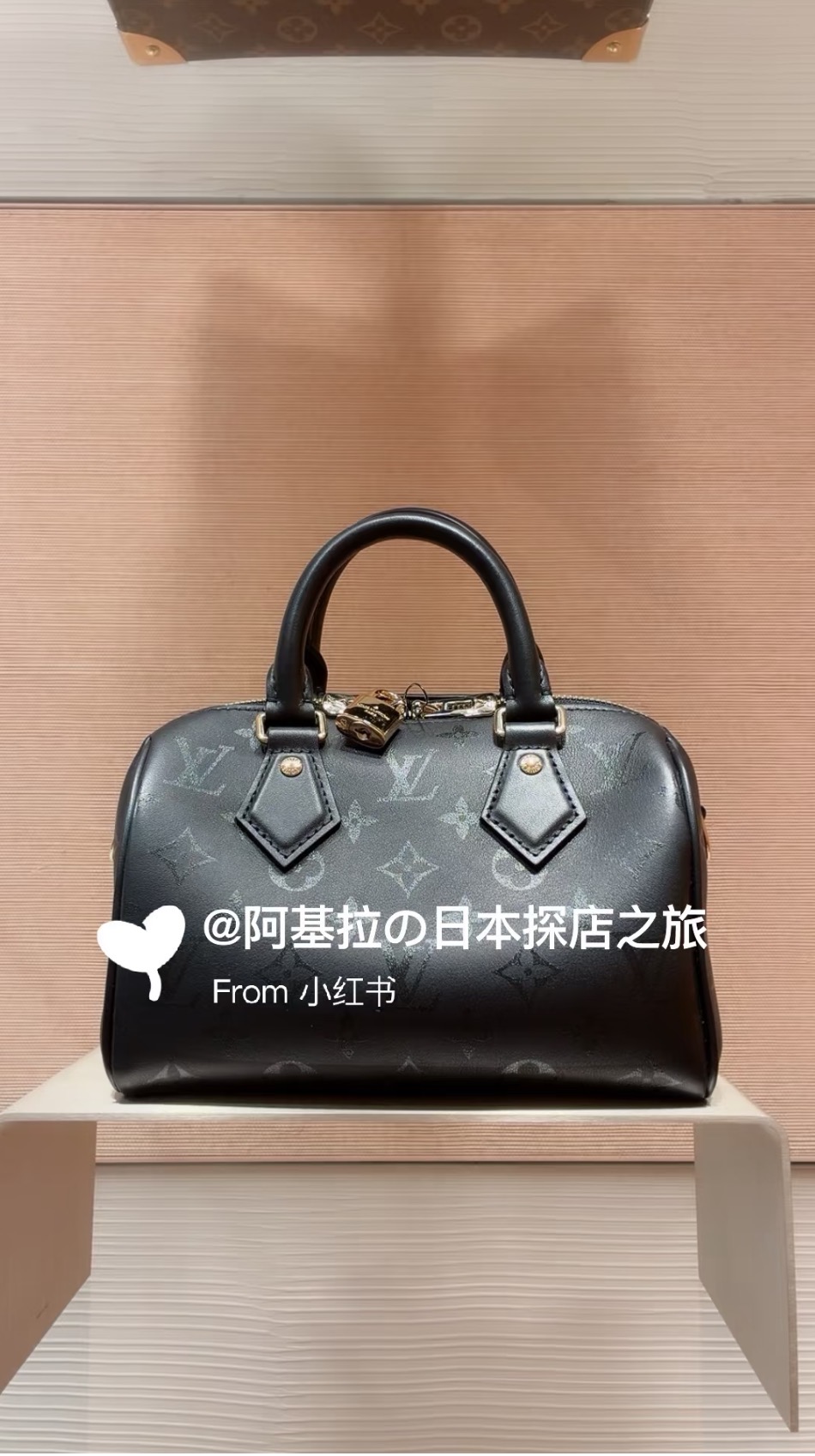 Louis Vuitton Speedy Bandoulière 20 LV 루이비통 스피디 반둘리에 가방