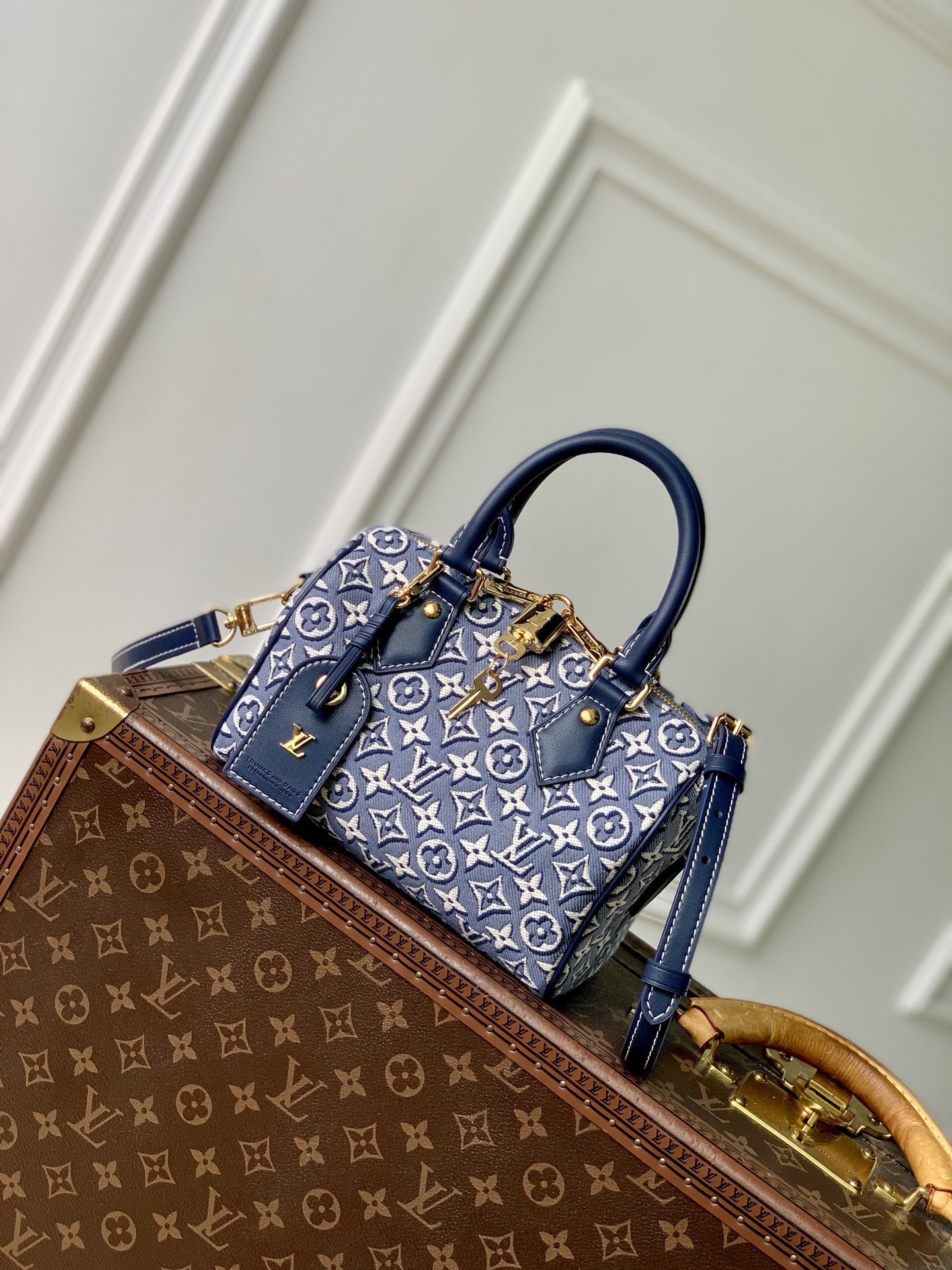 Louis Vuitton Speedy Bandoulière 20 LV 루이비통 스피디 반둘리에 가방