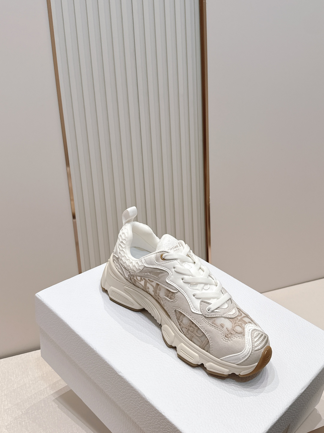 디올(DIOR) 크로노 스니커즈 신발