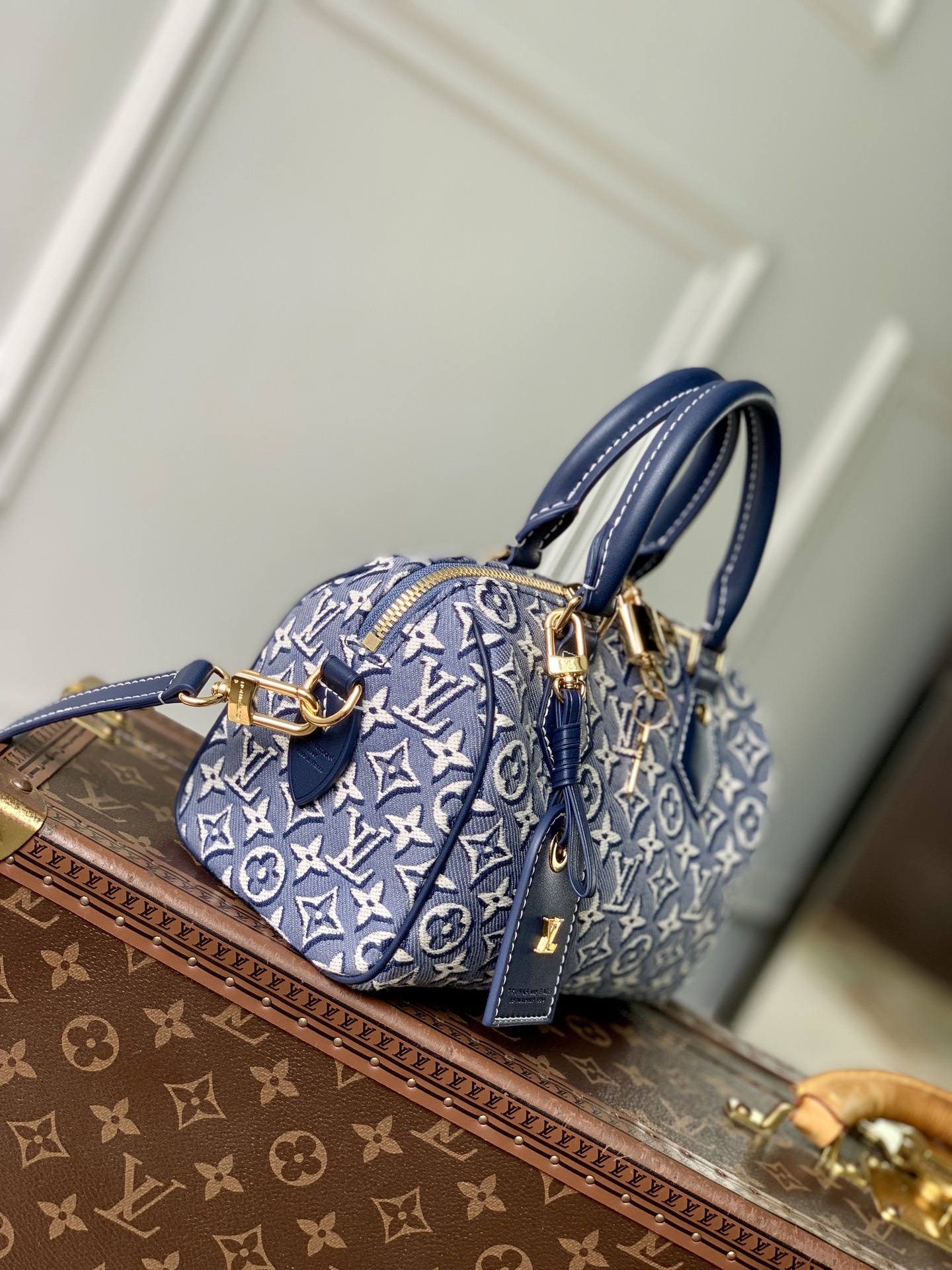 Louis Vuitton Speedy Bandoulière 20 LV 루이비통 스피디 반둘리에 가방