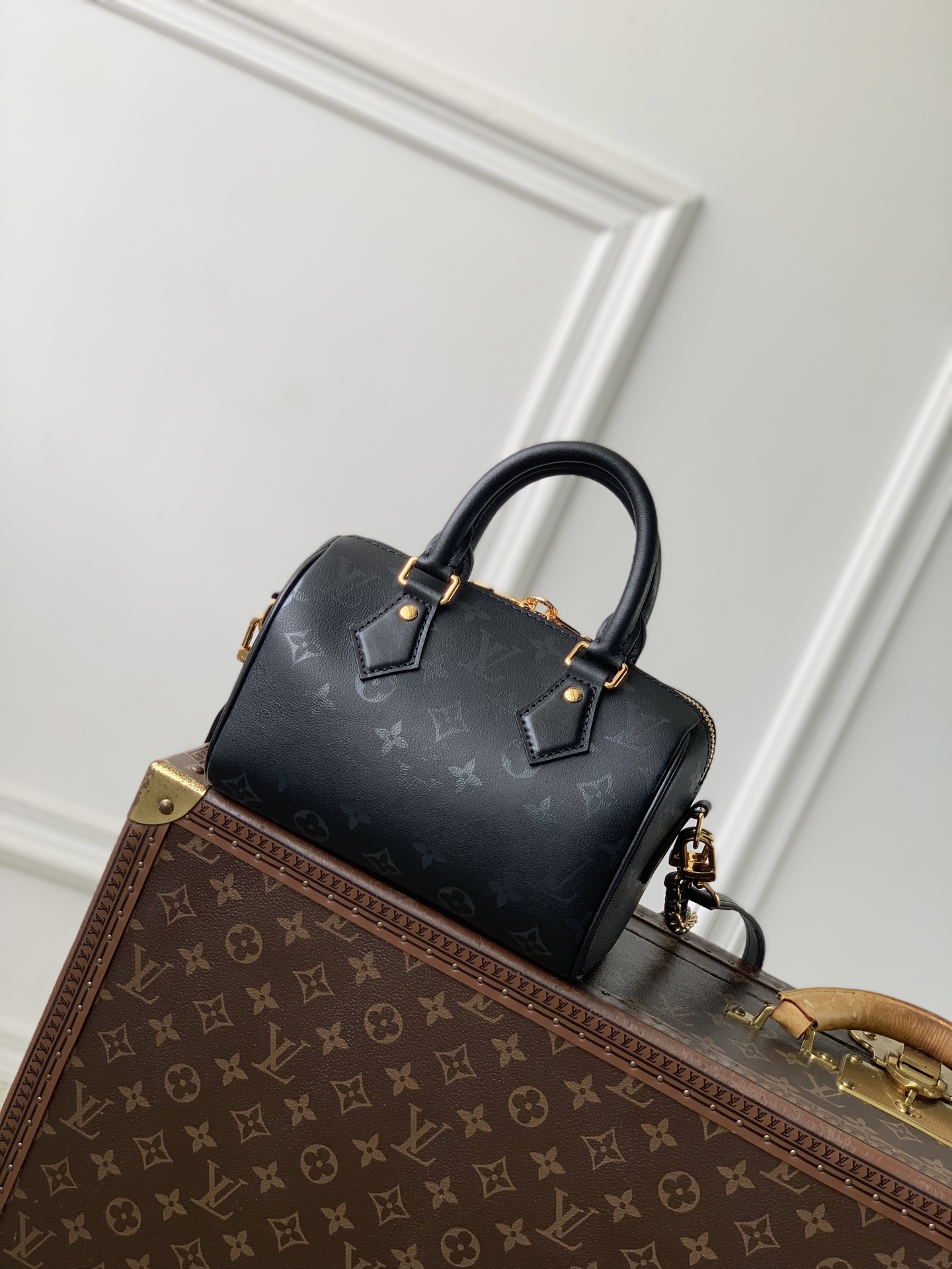 Louis Vuitton Speedy Bandoulière 20 LV 루이비통 스피디 반둘리에 가방
