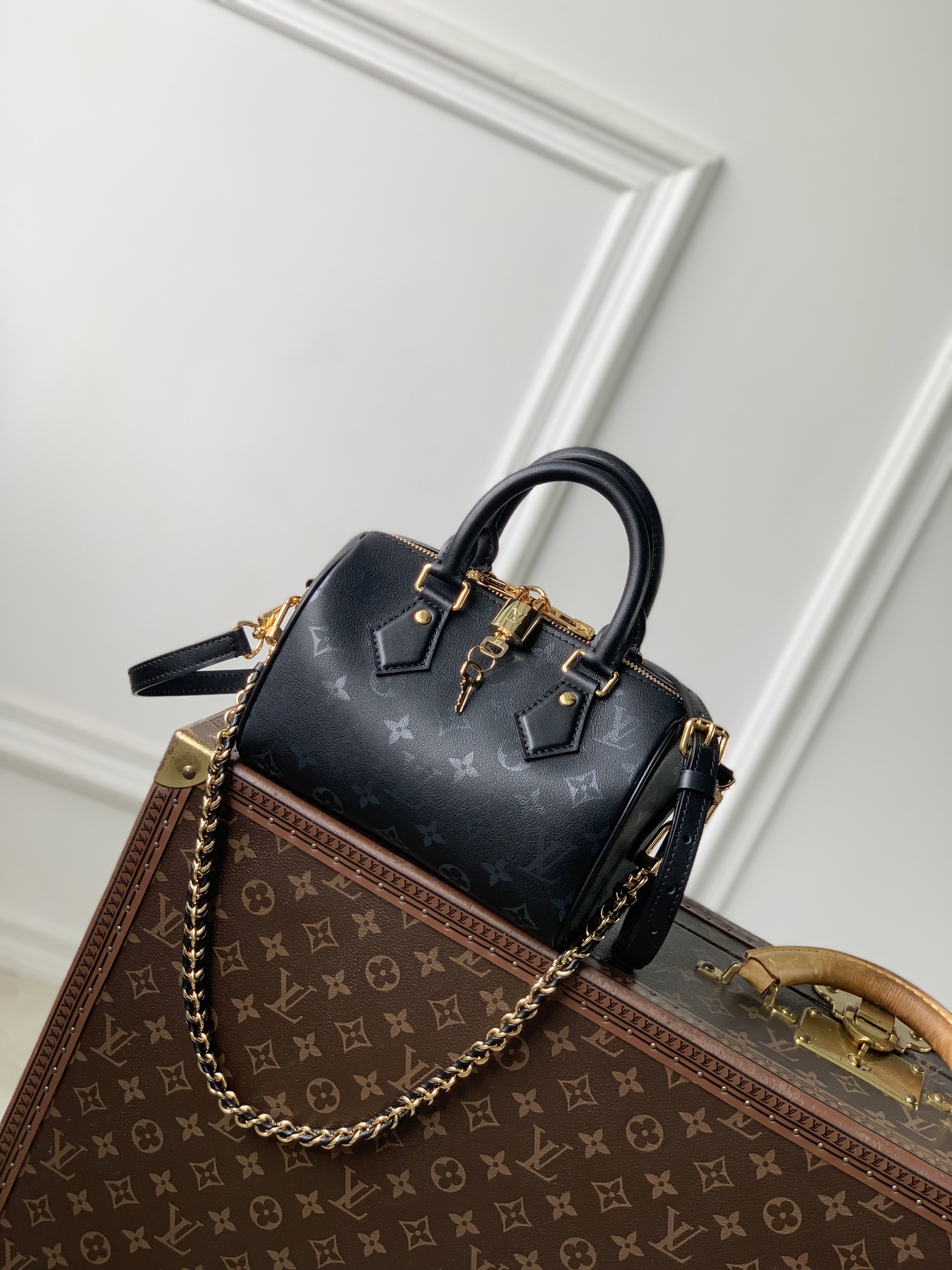 Louis Vuitton Speedy Bandoulière 20 LV 루이비통 스피디 반둘리에 가방