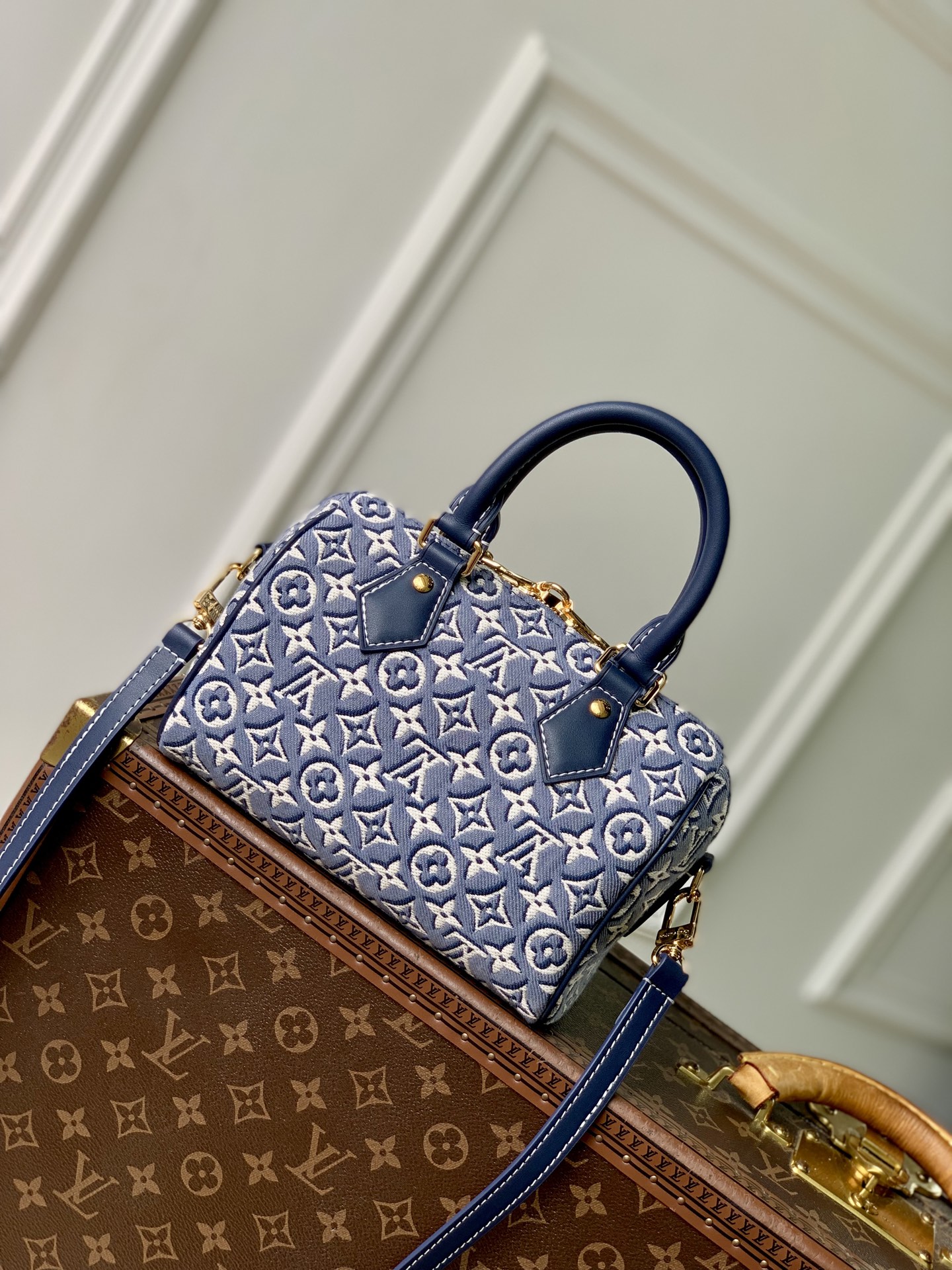 Louis Vuitton Speedy Bandoulière 20 LV 루이비통 스피디 반둘리에 가방