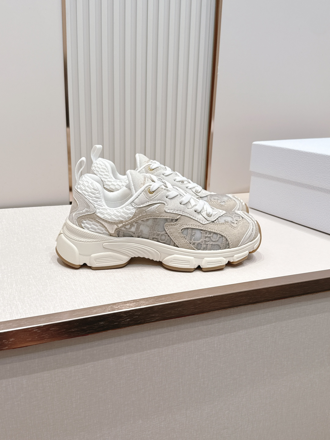 디올(DIOR) 크로노 스니커즈 신발